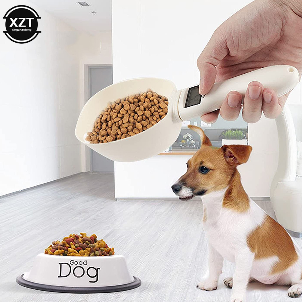 Large Size Scale Weighing Spoo - đánh giá và giá Kitchen Gadgets Under 500